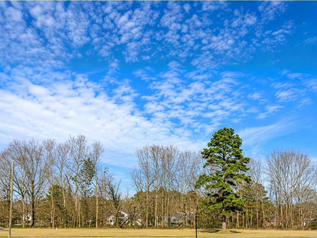 44068 MARY SINGLETARY Road, St. Amant LA 70774