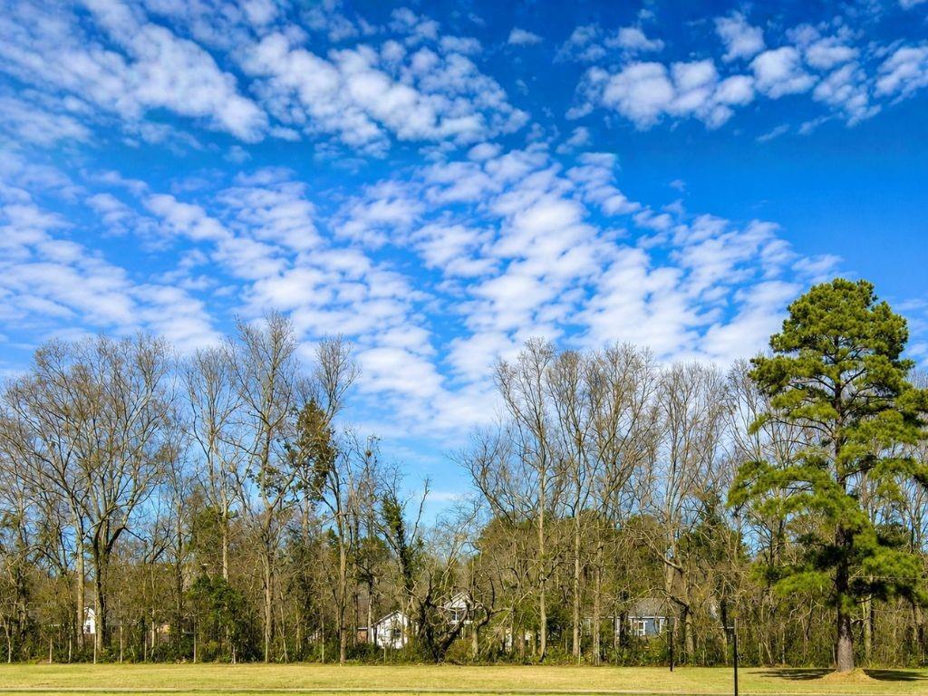 44068 MARY SINGLETARY Road, St. Amant, LA 70774 photo 2