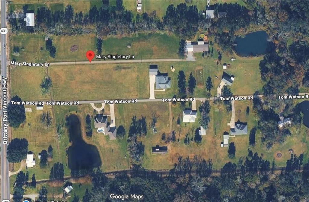 44068 MARY SINGLETARY Road, St. Amant, LA 70774 photo 3