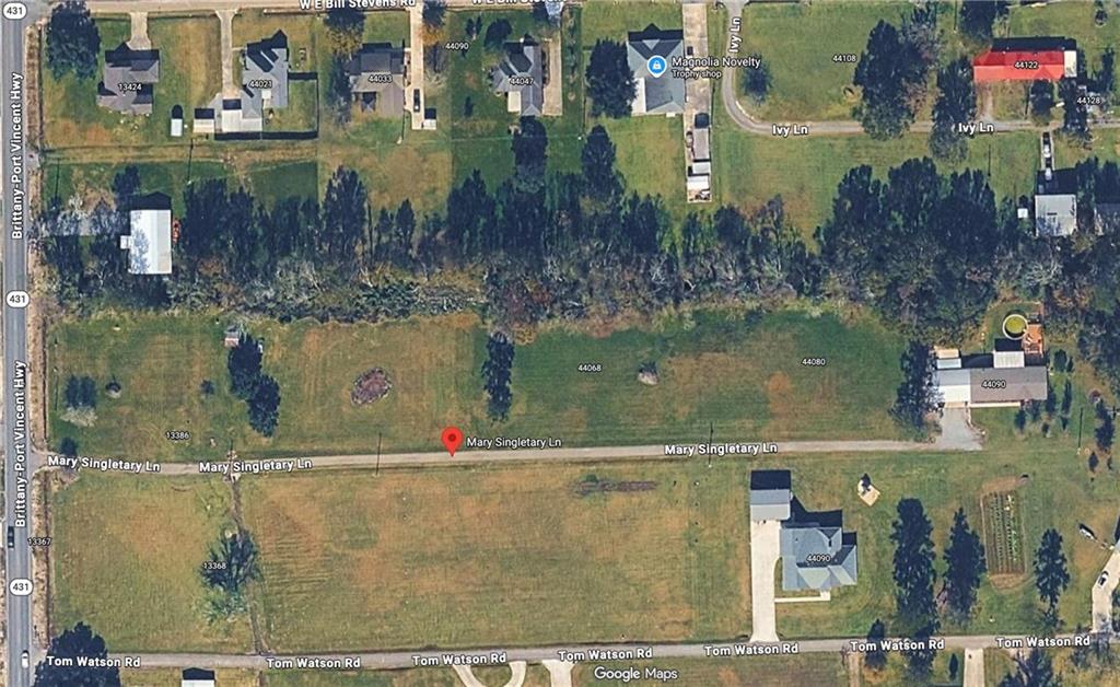 44068 MARY SINGLETARY Road, St. Amant, LA 70774 photo 4