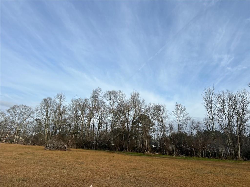 44080 MARY SINGLETARY Road, St. Amant, LA 70774 photo 8