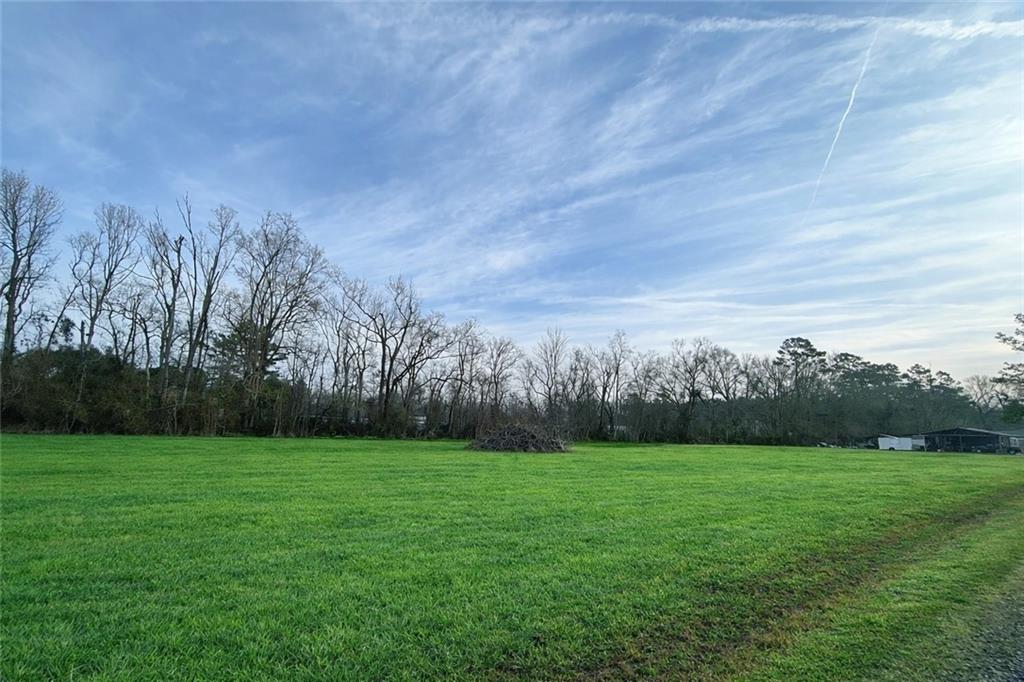 44080 MARY SINGLETARY Road, St. Amant, LA 70774 photo 4