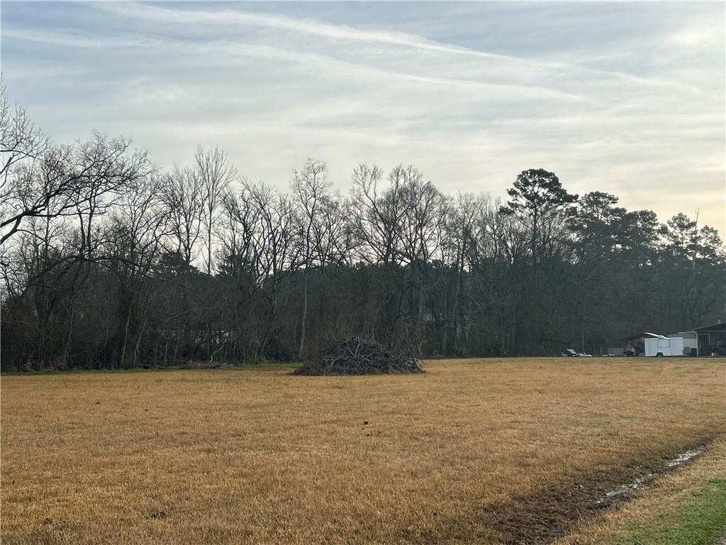 44080 MARY SINGLETARY Road, St. Amant, LA 70774 photo 6