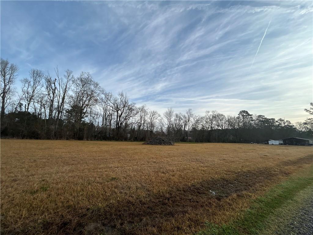 44080 MARY SINGLETARY Road, St. Amant, LA 70774 photo 7