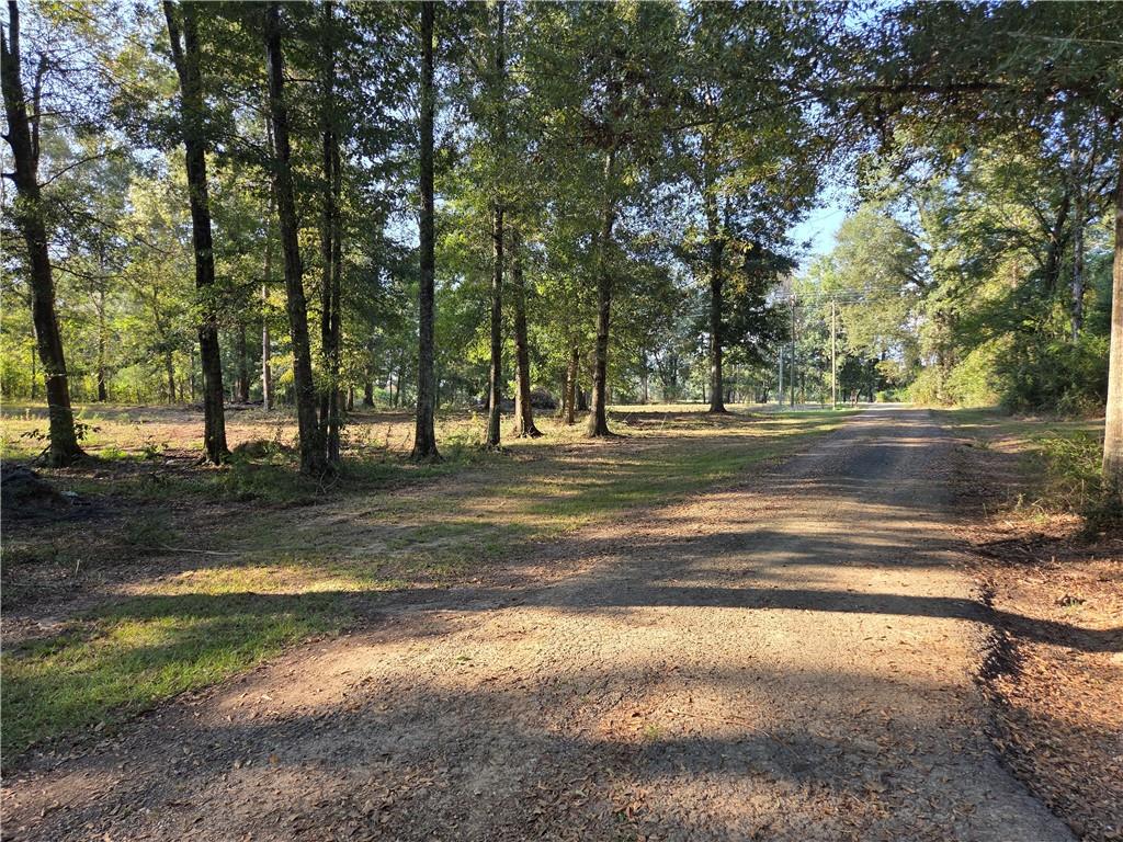 22378 440 Highway, Kentwood, LA 70444 photo 13