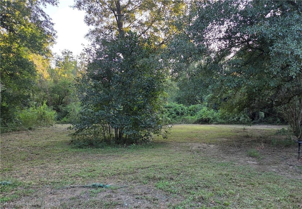22378 440 Highway, Kentwood, LA 70444 photo 15