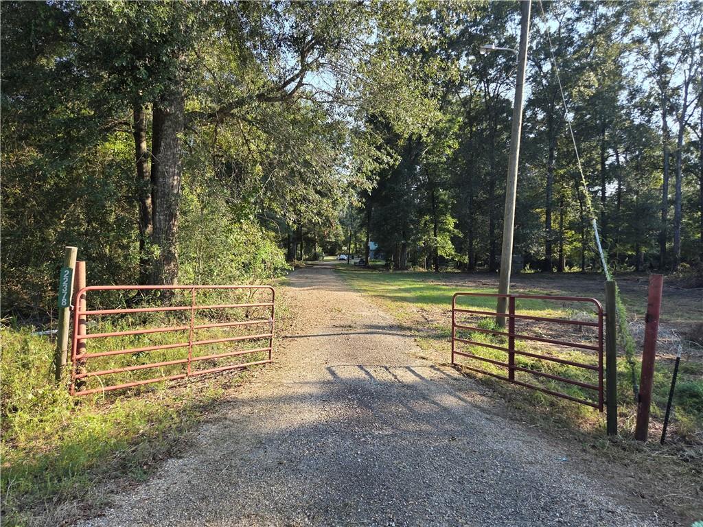 22378 440 Highway, Kentwood, LA 70444 photo 17